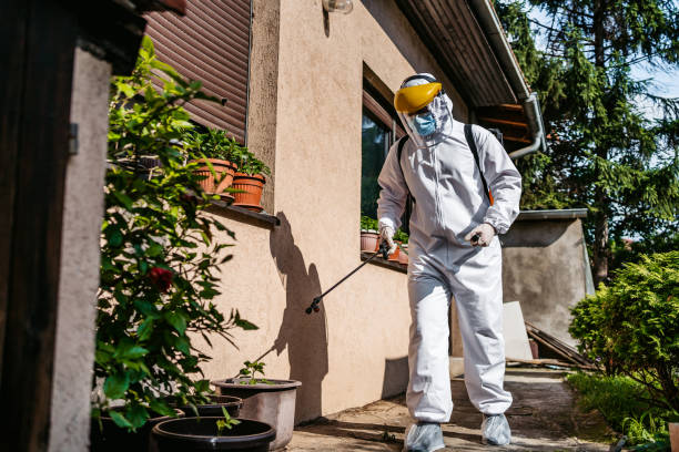 Professional Pest Control in Doctor Phillips, FL