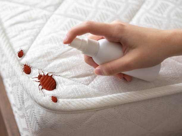 Pest Control Cost in Doctor Phillips, FL