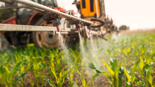 Best Mosquito Control Services  in Doctor Phillips, FL